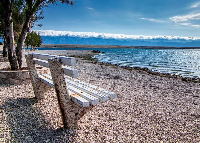 Cool Sunny *