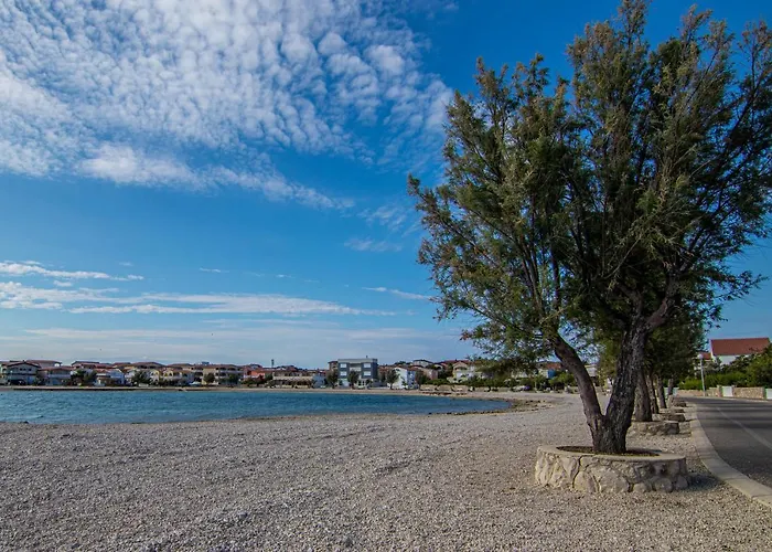 Cool Sunny Apartamento